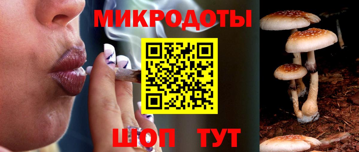 Галлюциногенные грибы Cubensis  Вход с VPN  Елизово 
