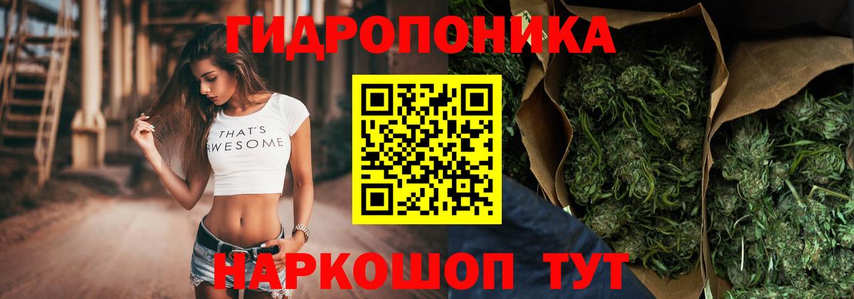 Елизово  Марихуана конопля  Бошки Шишки сатива  Вход с VPN  Каннабис планчик 